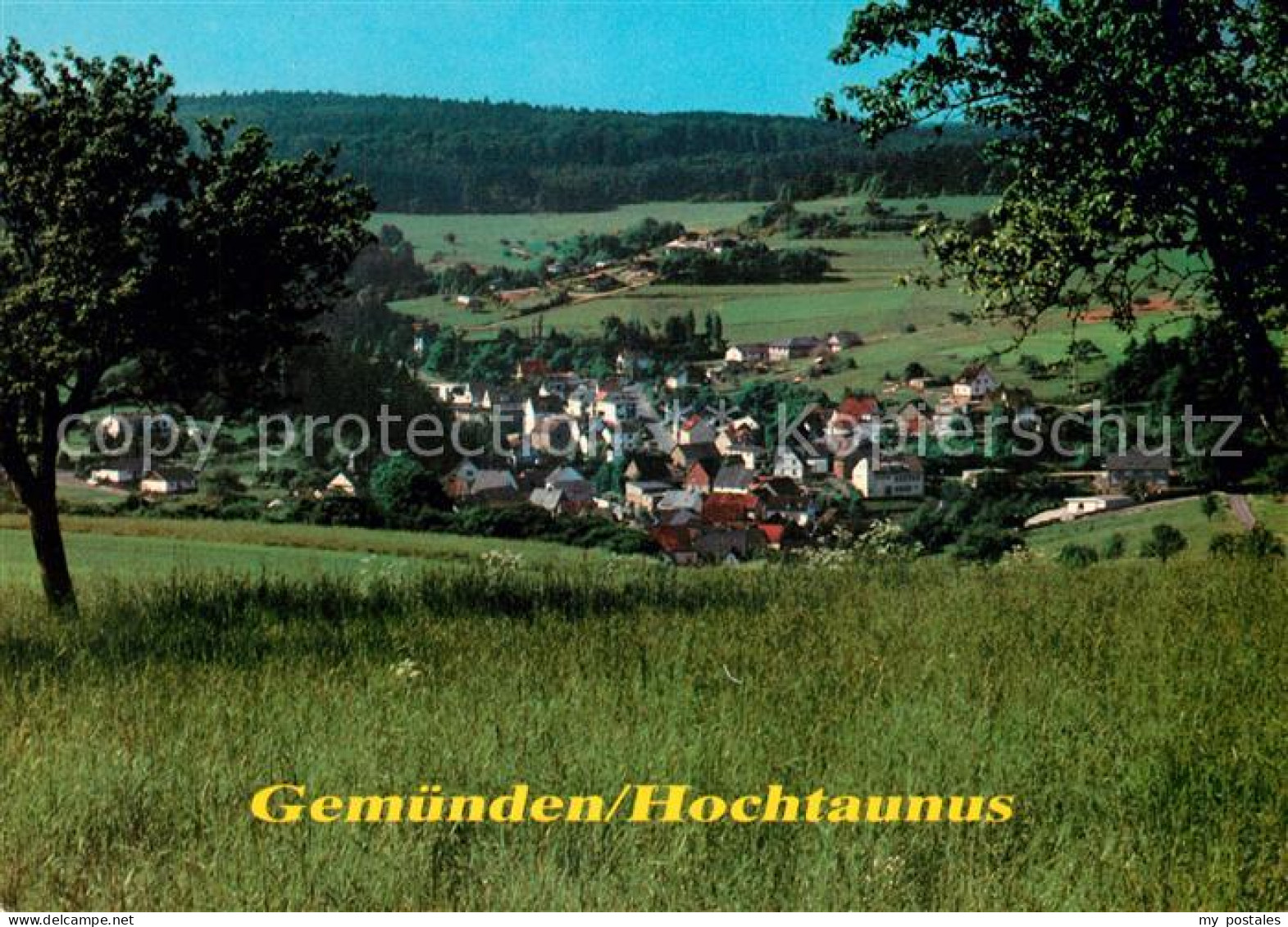 Gemuenden Taunus Panorama