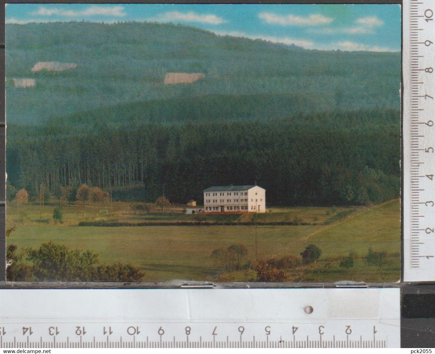 Gemünden/Hunsrück Waldhotel Koppenstein  nicht gelaufen ( AK 1805 )