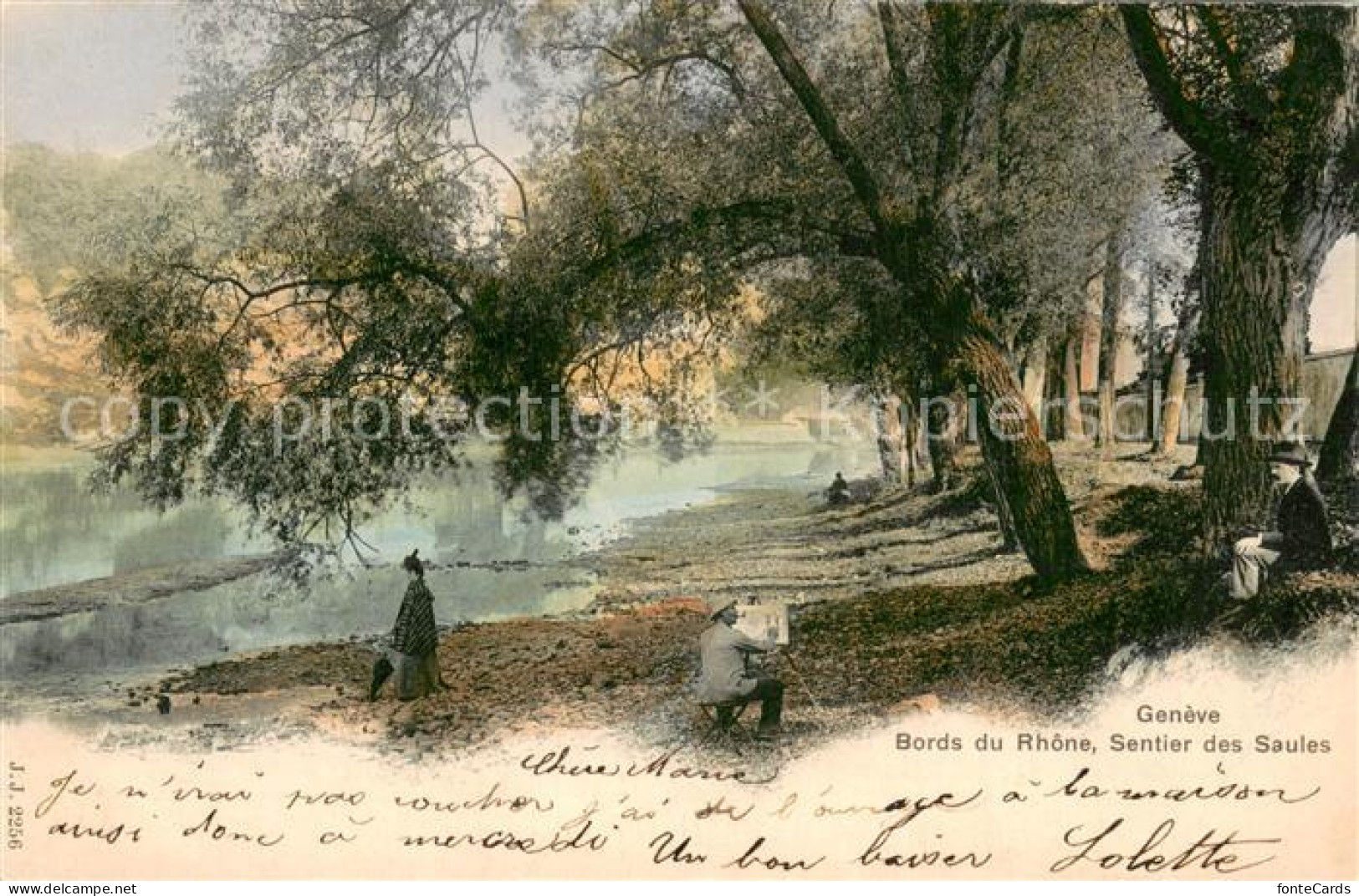 Geneve GE Bords du Rhone Sentier des Saules