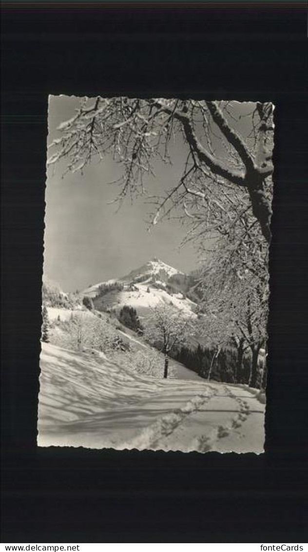 Geneve GE Schneelandschaft