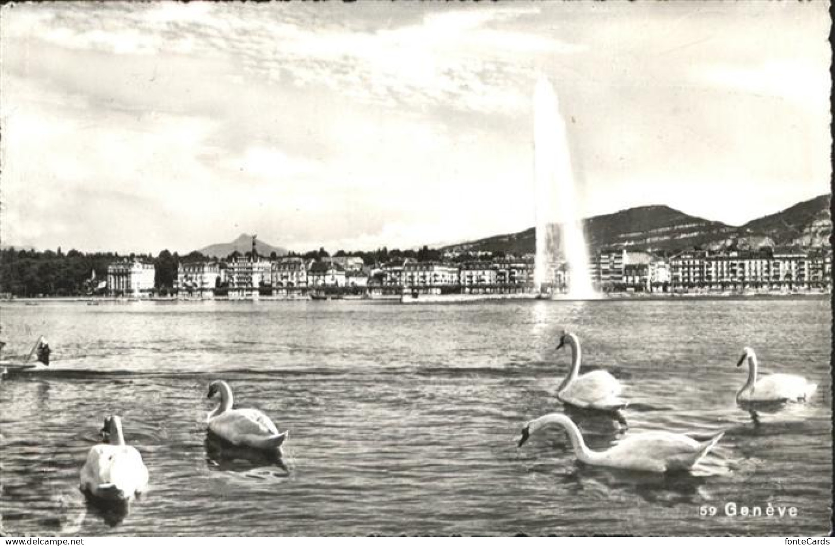 Geneve GE Schwan