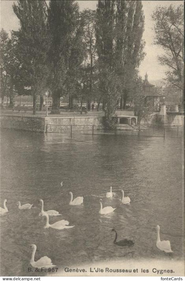 Geneve GE Schwan