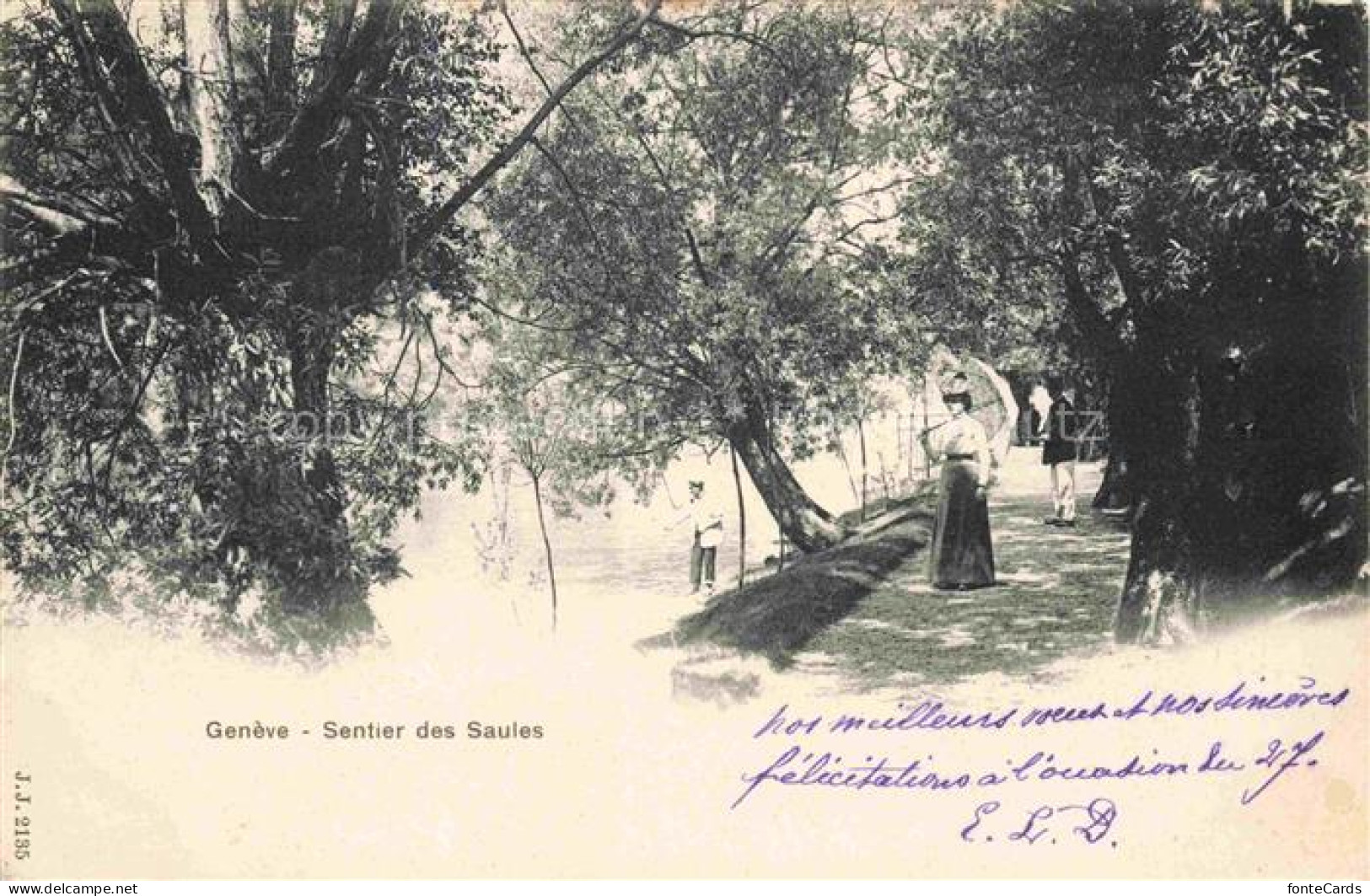 GENEVE Genf GE Sentier des Saules