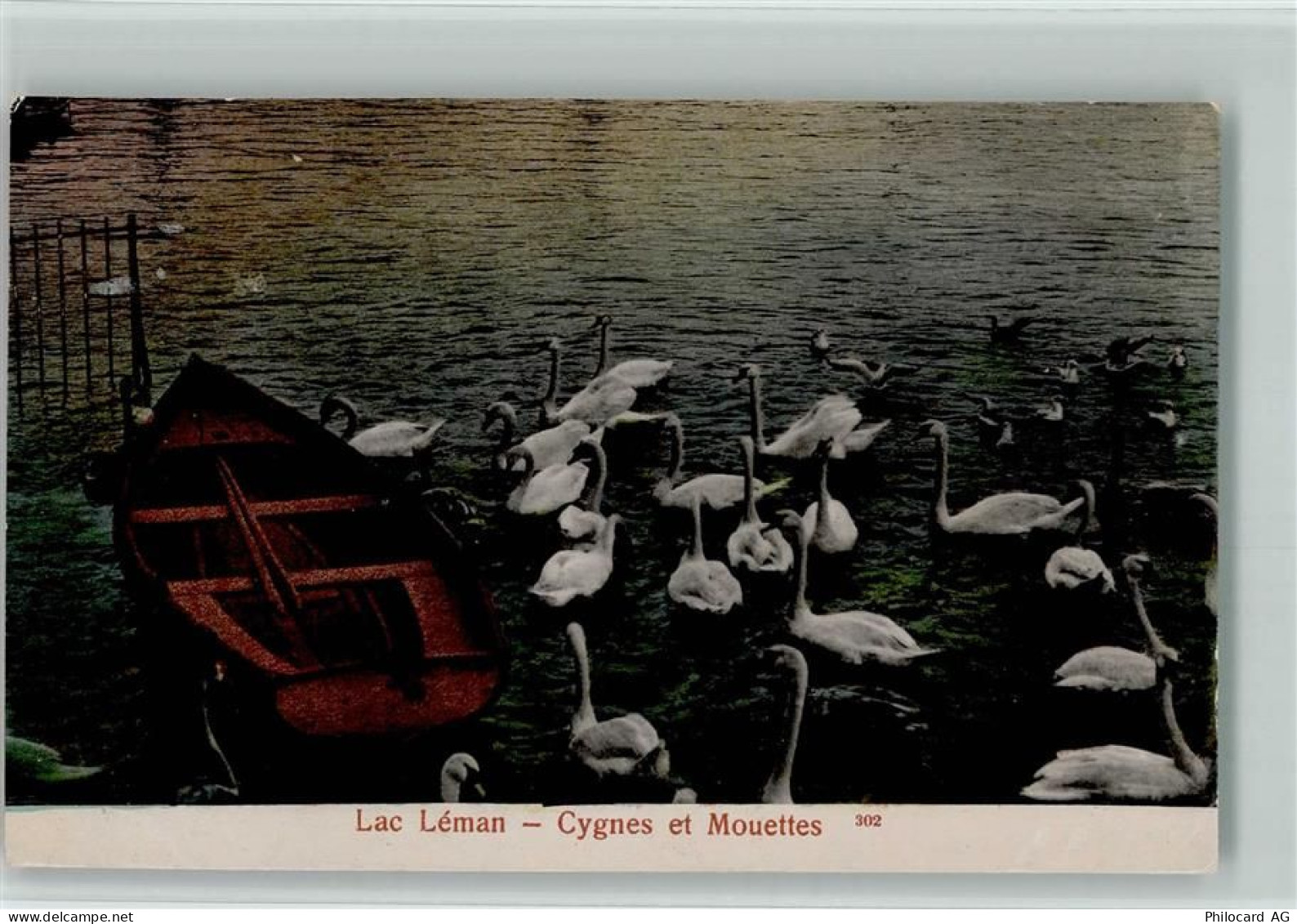 Genfersee Lac Leman 1901 - Lac Leman Schwäne Ruderboot - 10158841