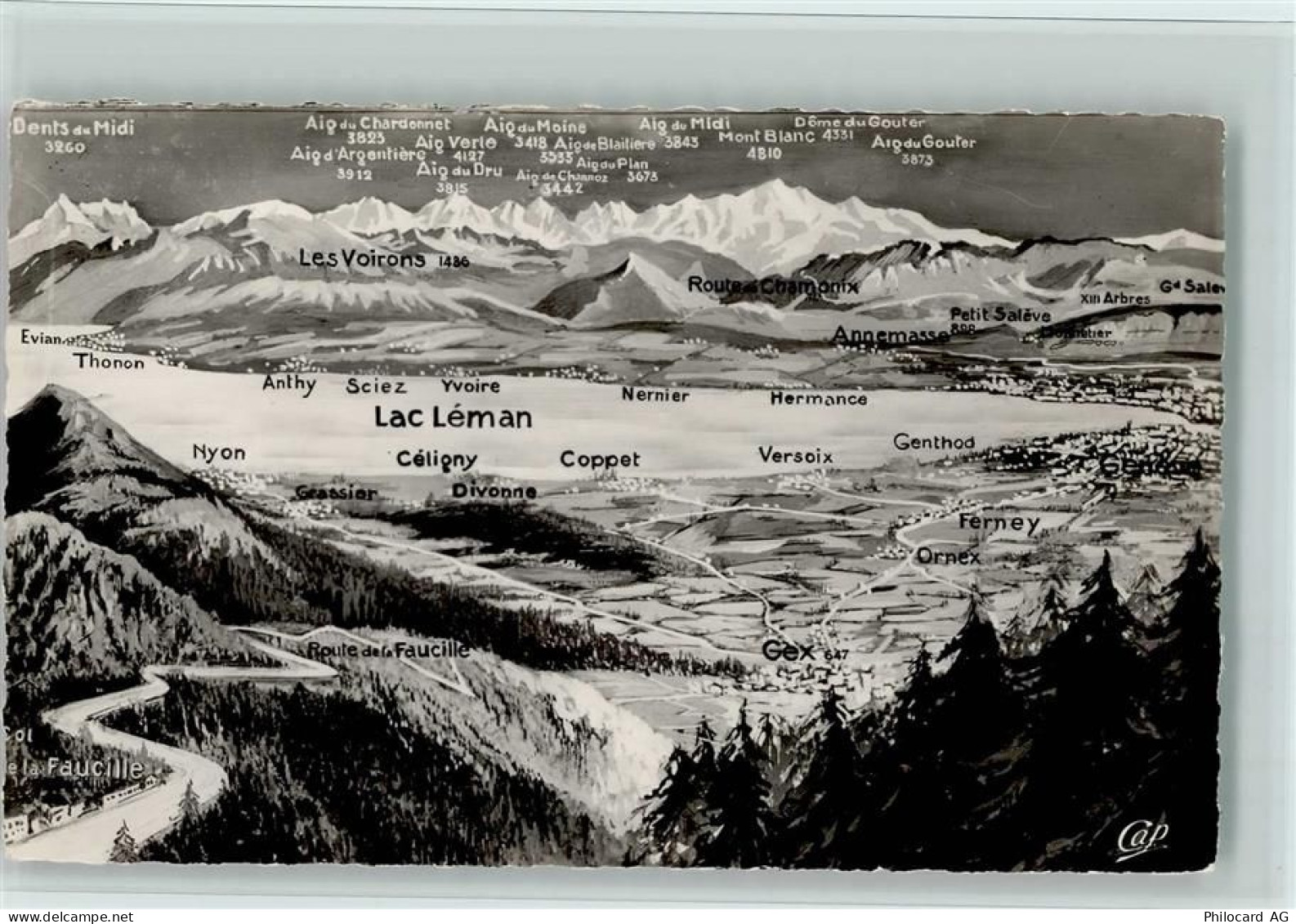 Genfersee Lac Leman - Vogelperspektive - 12112084