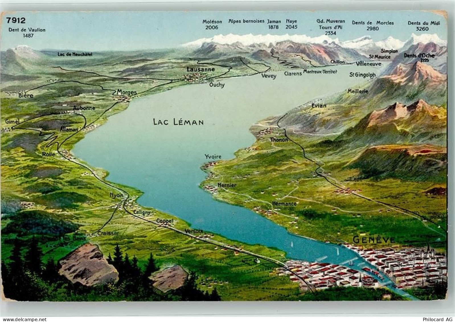 Genfersee Lac Leman - Vogelschau - 39497745