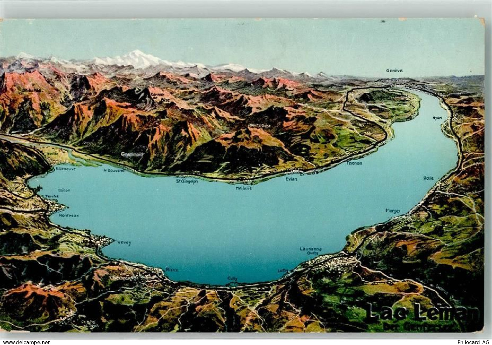 Genfersee Lac Leman - Vogelschau - 39497754