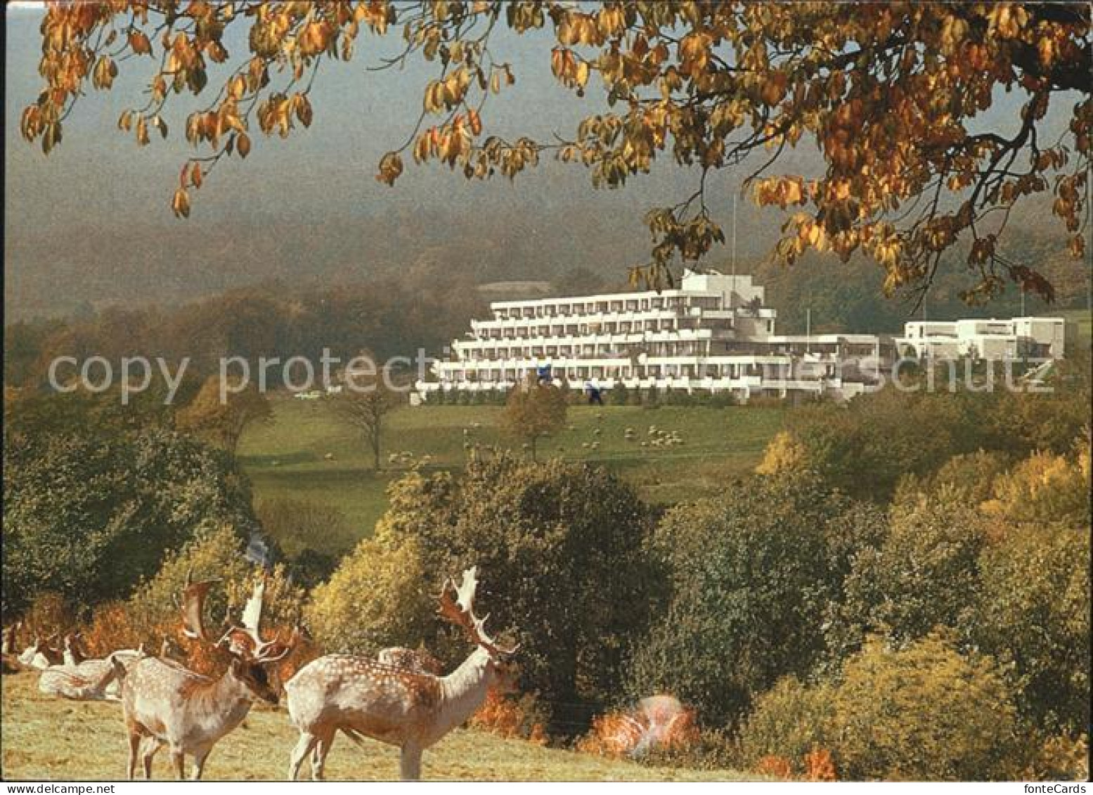 Genolier Clinique medico chirurgicale Klinik Damwild