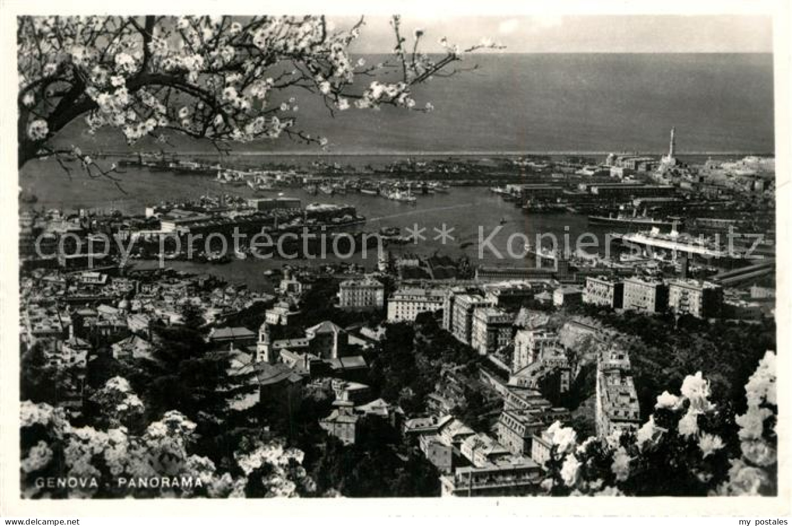 Genova Genua Liguria Panorama