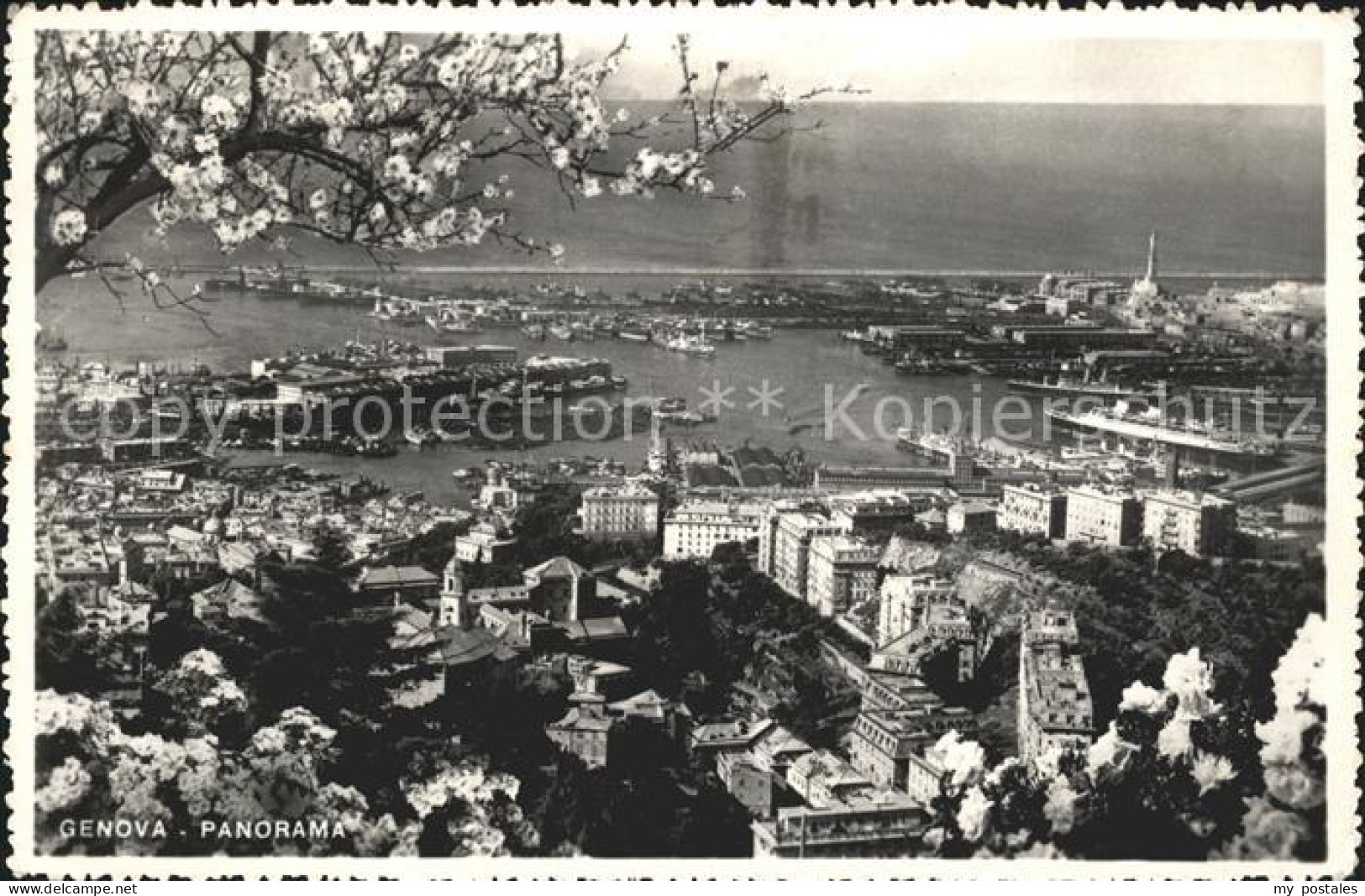Genova Genua Liguria Panorama Genova