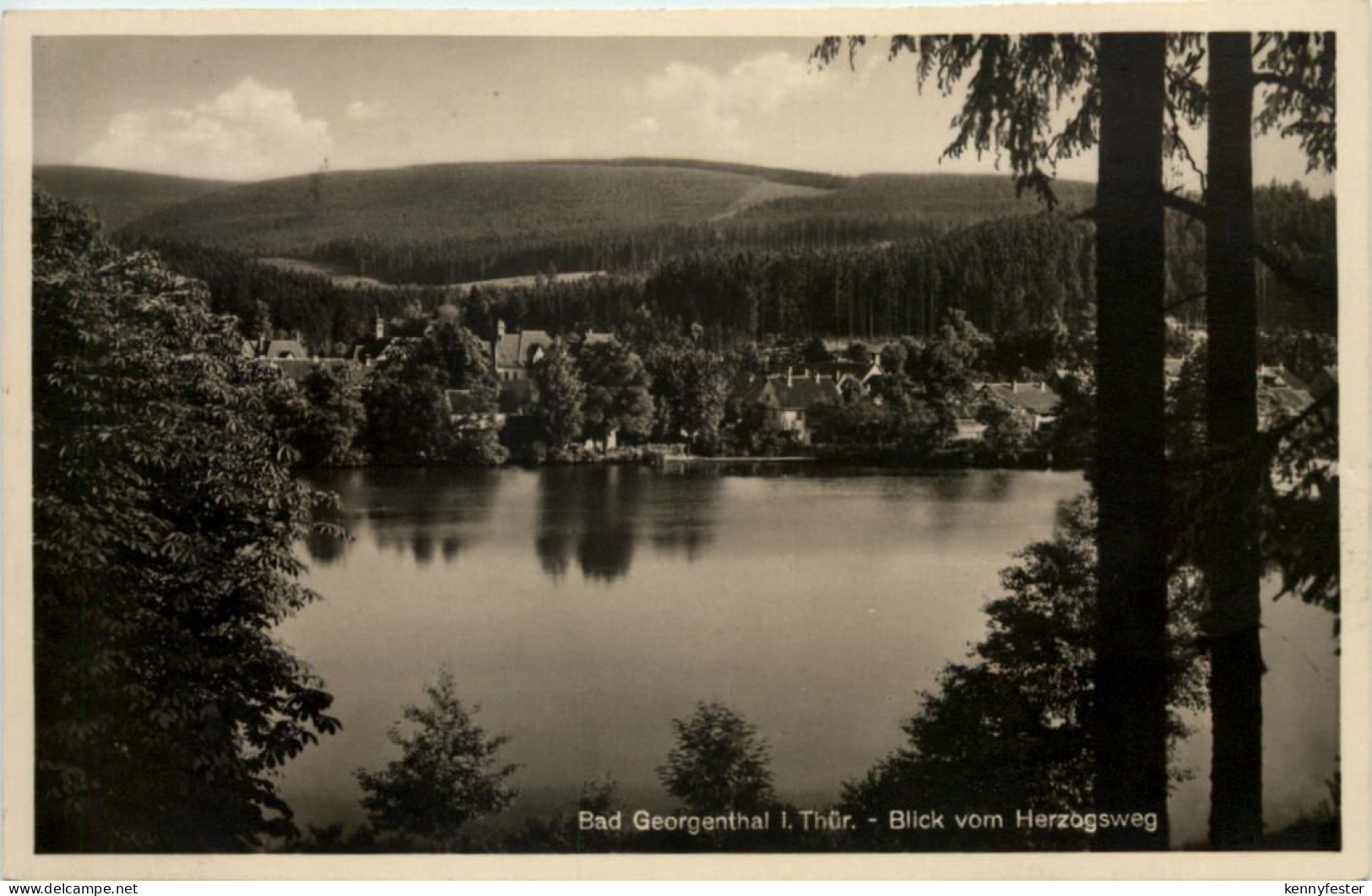 Georgenthal in Thüringen, Blick vom Herzogsweg