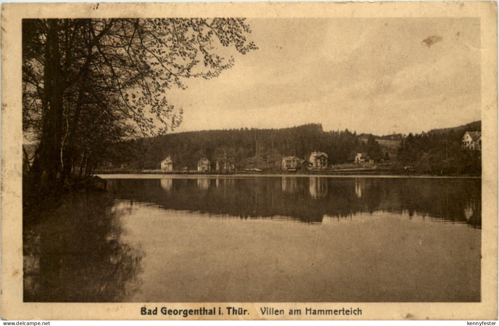 Georgenthal in Thüringen, Villen am Hammerteich