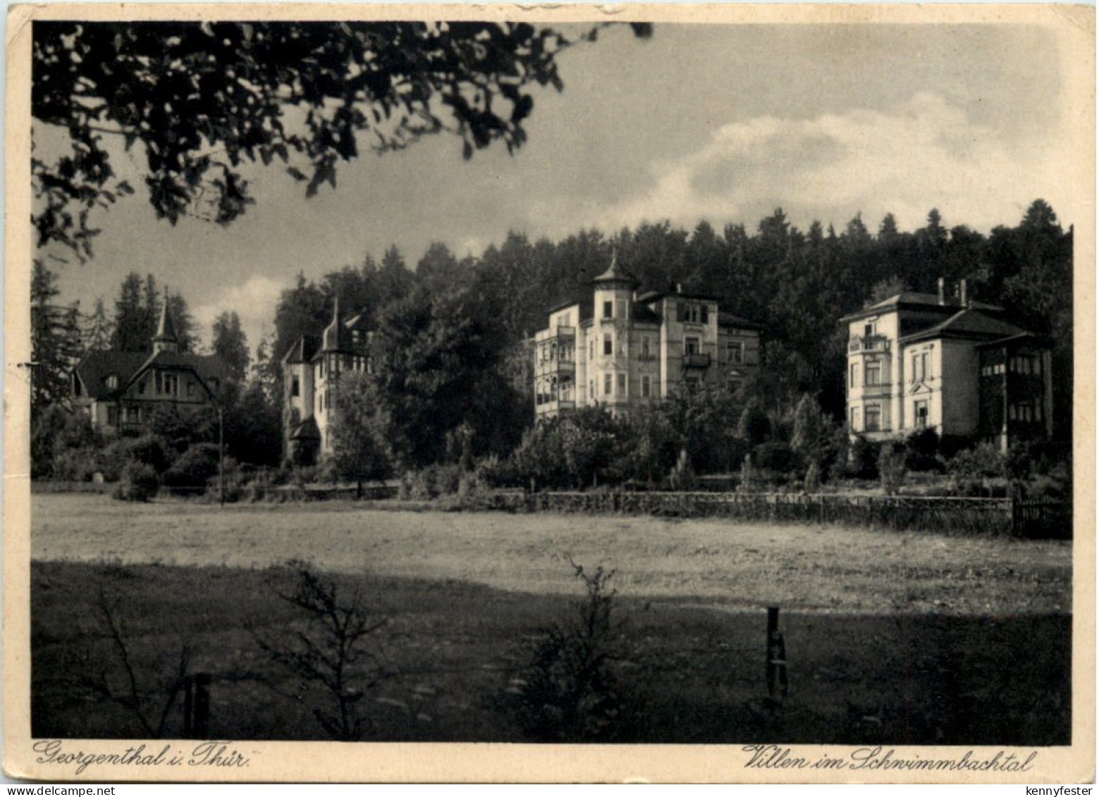 Georgenthal in Thüringen,, Villen im Schwimmbachtal