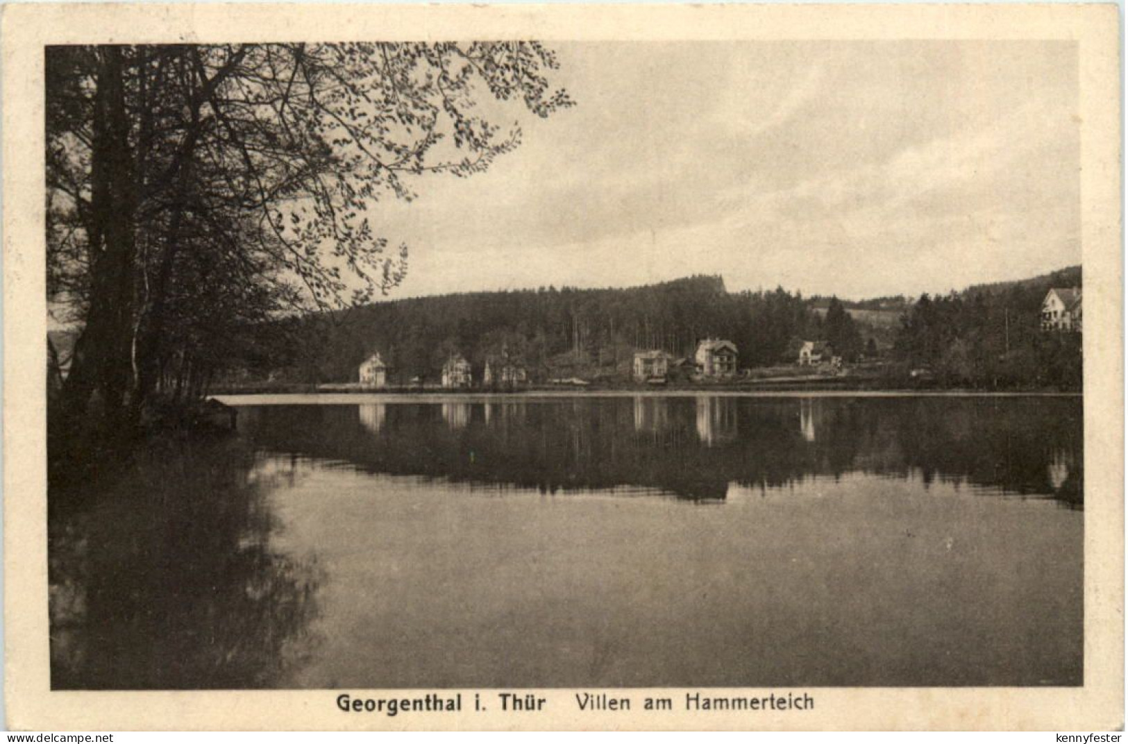 Georgenthal, Villen am Hammerteich