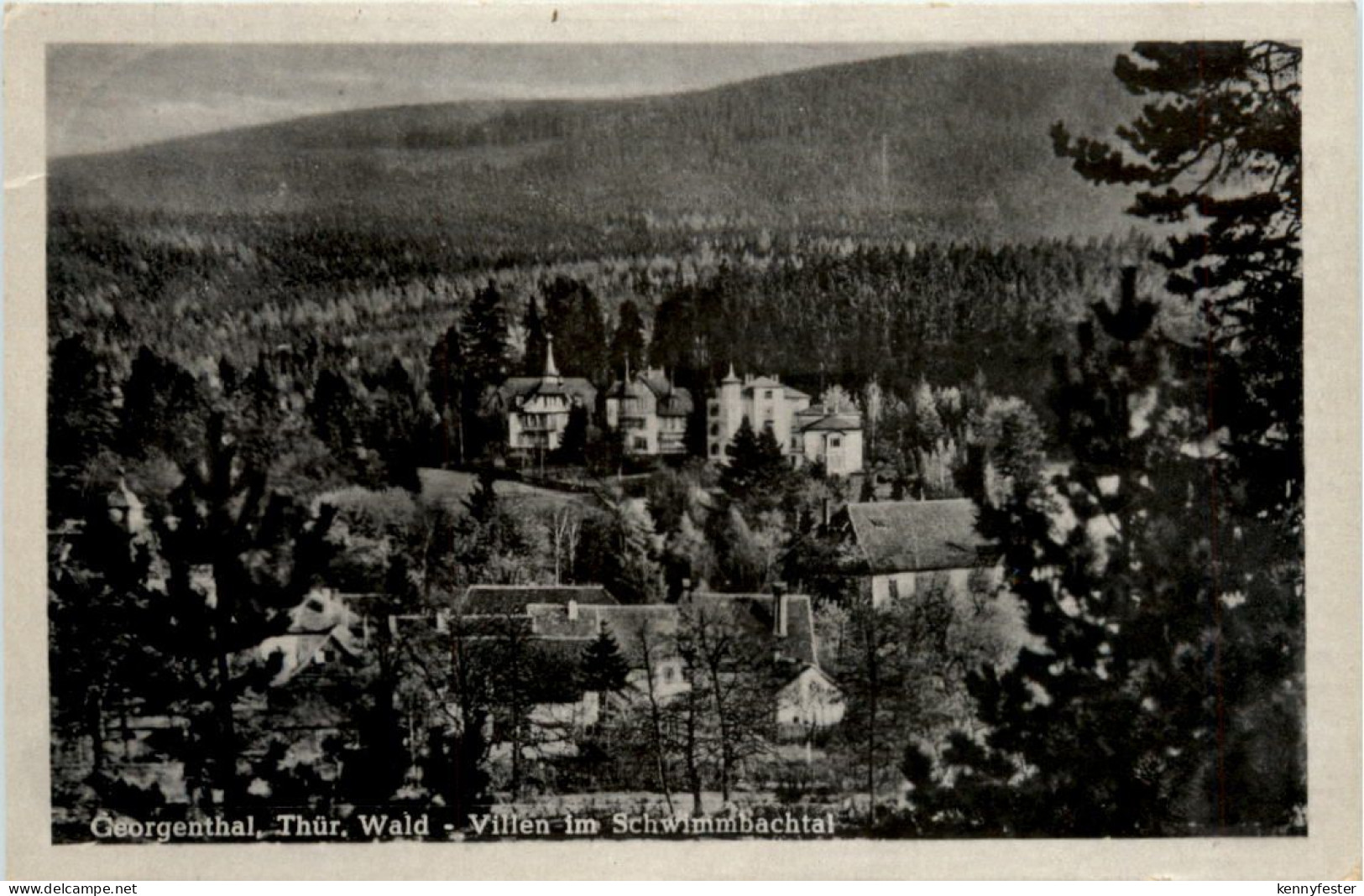 Georgenthal, Villen im Schwimmbachtal