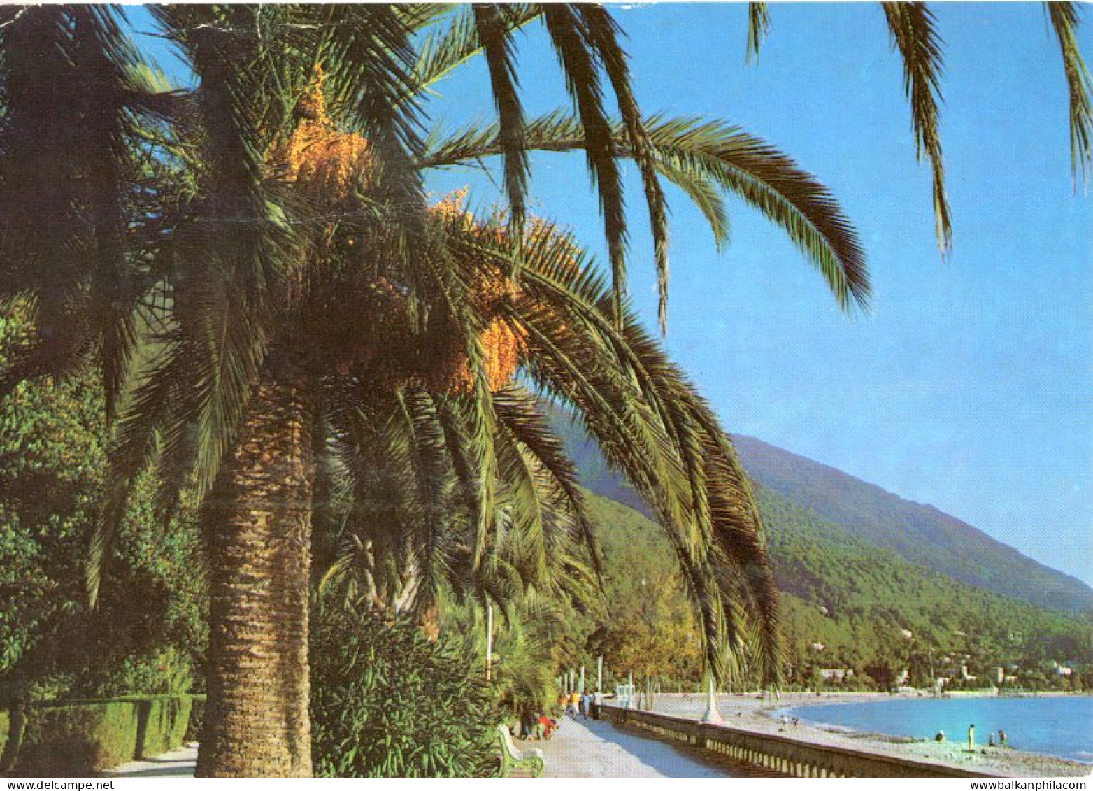 Georgia Abkhazia Gagra 1983 to Berlin