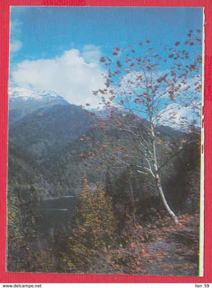 243737 / GEORGIA'S LANDSCAPES - RITSA LAKE , Georgia SSR , Georgie Georgien