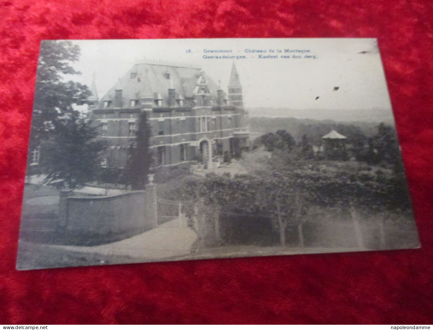 Geraardsbergen, Kasteel van den berg