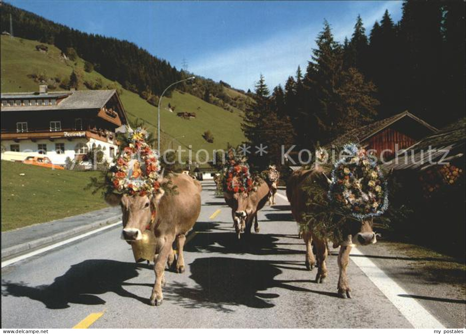 Gerlos Almabtrieb