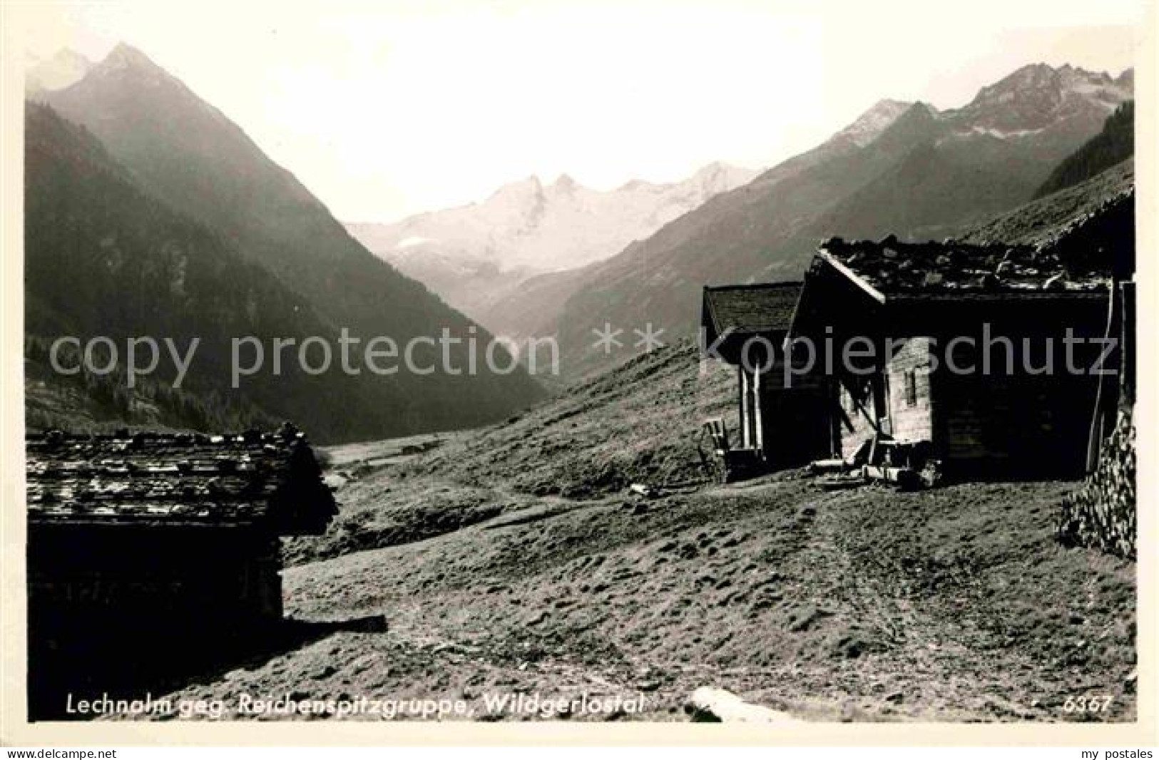 Gerlos Alpine Sommerfrische Hochtal Gerlos Zillertal Lechnalm gegen Reichenspitz