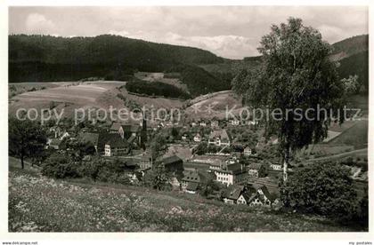 Alpirsbach Panorama