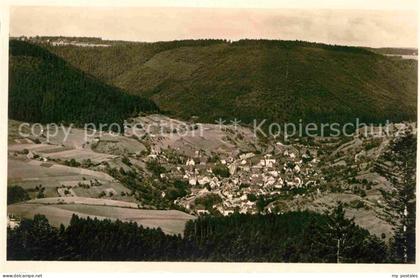 Alpirsbach Panorama
