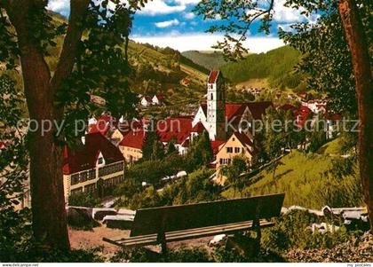 Alpirsbach Panorama