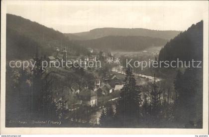 Altenbrak Harz Teilansicht