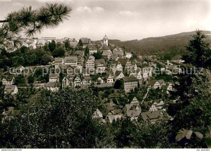 Altensteig Schwarzwald Panorama