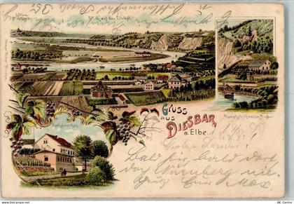 01612 O8401 Diesbar-Seußlitz 1898 Lithographie Dampfschiffstation Gastha... - 13637908