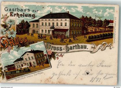 01909 O8504 Großharthau 1902 Lithographie Bahnhof Gasthaus zur Erholung ... - 13631021