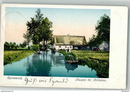 03222 O7543 Lübbenau 1903 - Kaupen - 38136530