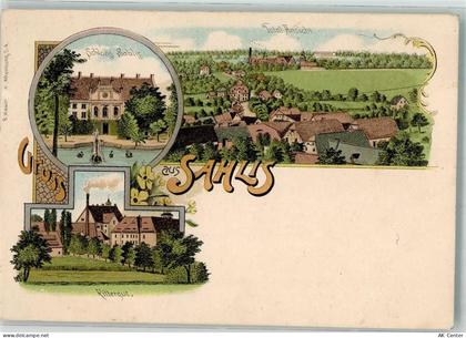 04655 O7234 Kohren-Sahlis Lithographie Schloss Rittergut - 13638895