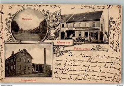 04916 O7901 Schönewalde b Herzberg, Elster 1900 - Dampf-Molkerei Materia... - 13659181