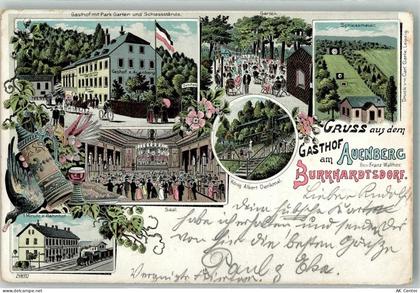09235 O9135 Burkhardtsdorf 1901 Lithographie Gasthaus am Auenberg Garten... - 13639721