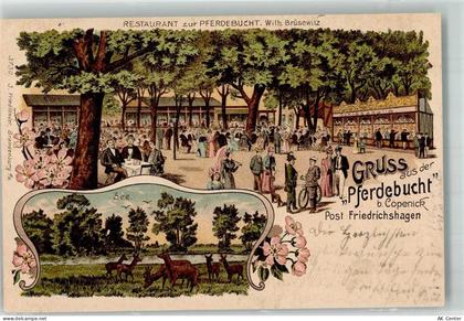 10115 O1199 Köpenick 1908 Lithographie Gasthaus zur Pferdebucht Garten S... - 13639764
