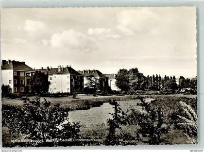10115 W1000 Reinickendorf - Breitkopfbecken Paddenpuhl - 39464437