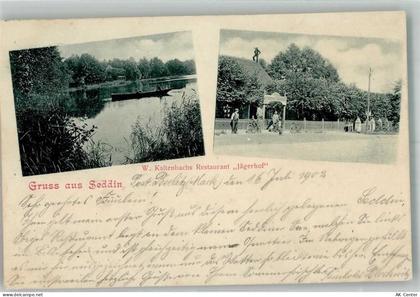 14554 O1501 Seddin b Potsdam 1902 - Seddiner See Gasthaus Jägerhof - 13663995
