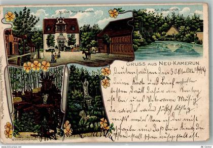 15741 O1601 Neu Kamerun 1904 Lithographie Gut Neu-Kamerun Aal-Brutanstal... - 13648771