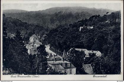 16259 O1310 Bad Freienwalde um 1940/50 - Bad Freienwalde: Ansicht Brunne... - 20042568