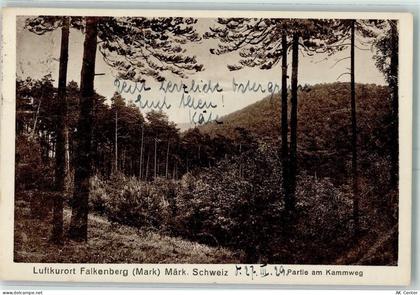 16259 O1312 Falkenberg , Mark - Partie am Kammweg - 10346718