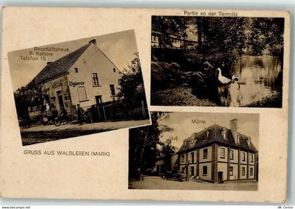 16816 O1950 Neuruppin - Walsleben An der Temnitz Gänse Geschäftshaus Kob... - 13632477