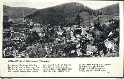 38709 W3391 Wildemann 1951 - Wildemann, Luftbild und Gedicht,Carl Thöric... - 20037177