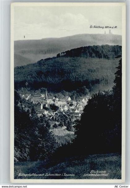61389 W6384 Schmitten , Taunus - 10052263
