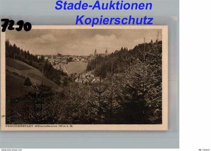 72250 W7290 Freudenstadt - Freudenstadt AKU2 - 50282531