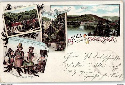 79822 W7820 Titisee Titisee-Neustadt - 52032296