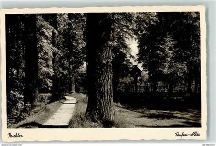 86807 W8938 Buchloe Foto AK Seufzer Allee - 39257163