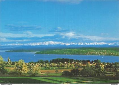 ALLEMAGNE UEBERLINGEN LAC DE CONSTANCE