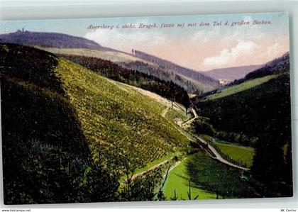 Auersberg - Tal d. großen Bockau - 10376334
