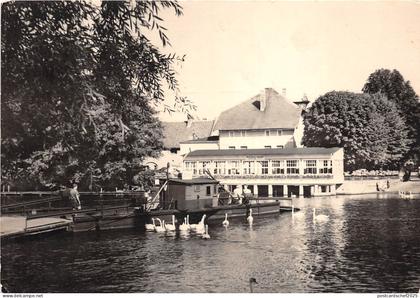 B62785 Caputh am Schwielowsee Fahre swams  germany